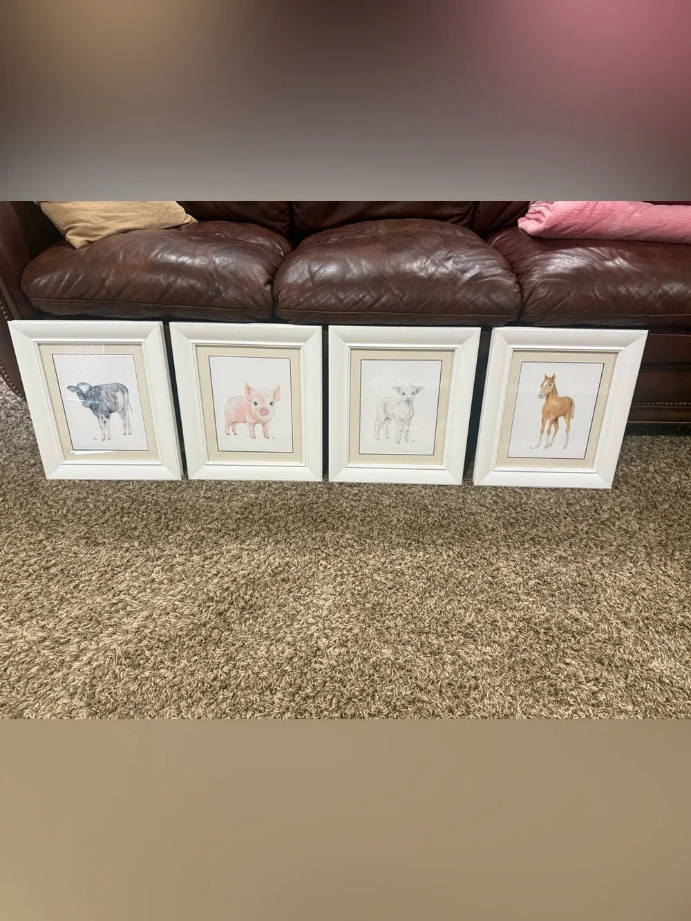 Professional framed 14”x 16” animal prints